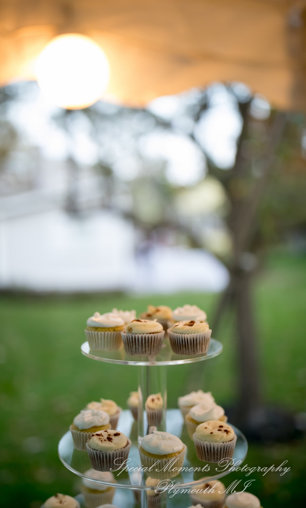 Anna & Jesus at Home Wedding & Reception Chelsea MI wedding photograph