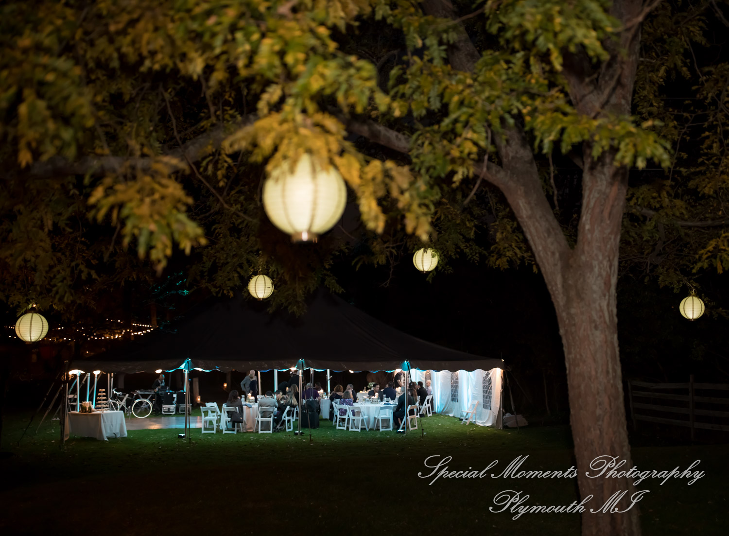 Anna & Jesus at Home Wedding & Reception Chelsea MI wedding photograph