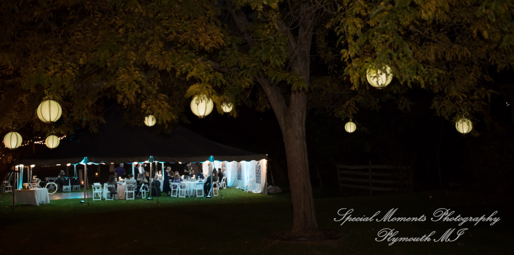 Anna & Jesus at Home Wedding & Reception Chelsea MI wedding photograph