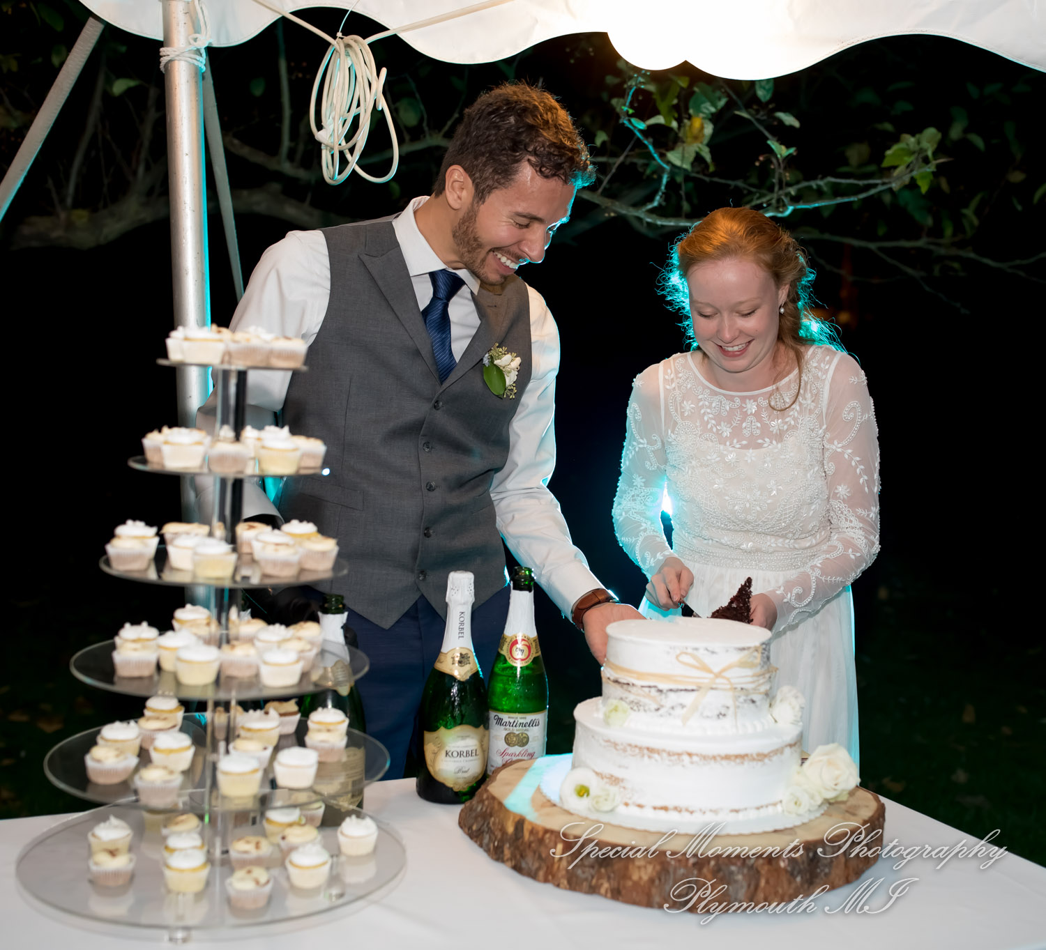 Anna & Jesus at Home Wedding & Reception Chelsea MI wedding photograph