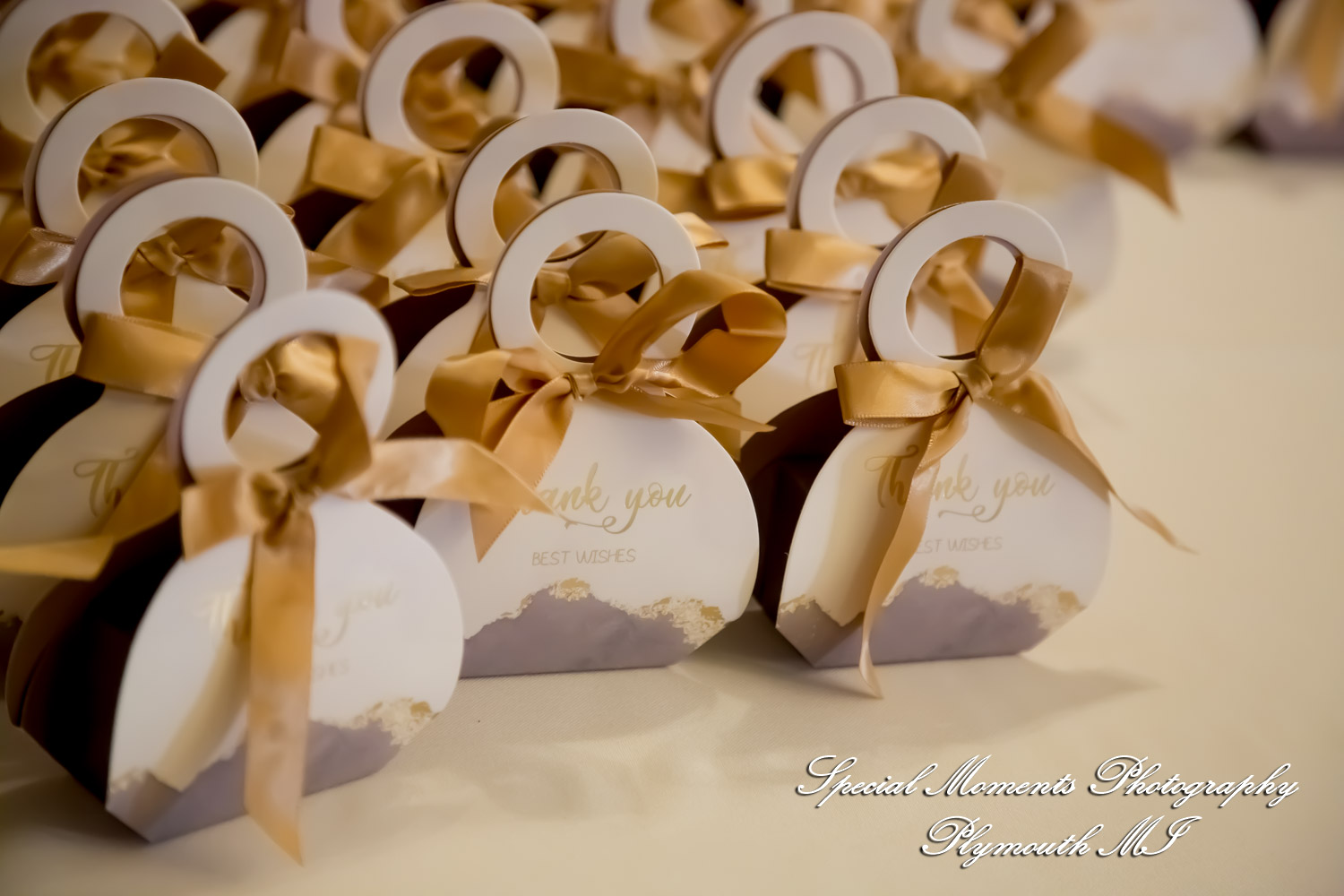 Heidy & Marcin at 2Gather Elegant Event Venue Auburn Hills MI wedding photograph