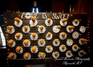 Patricia & Kyle at Canterbury Castle Lake Orion MI wedding photograph