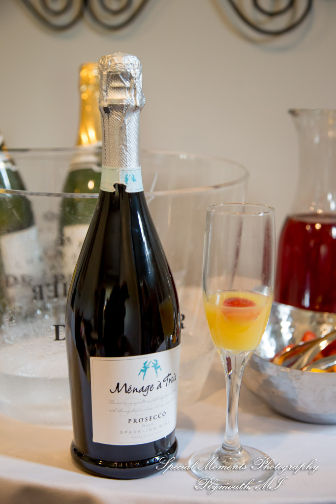 Raechelle & Dalton at Polo Fields Golf & County Club - Ann Arbor MI wedding photograph