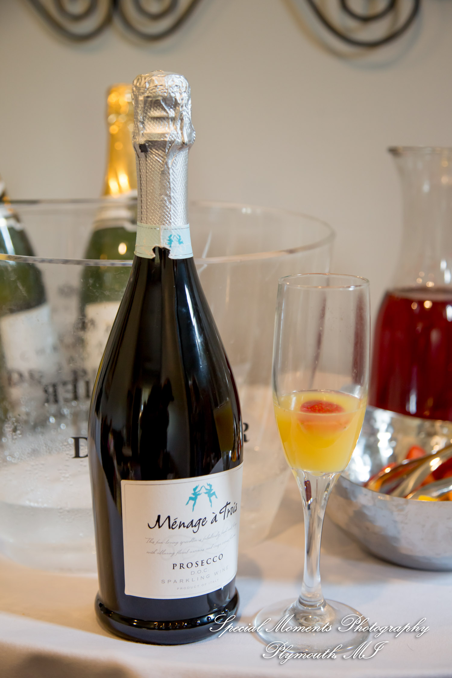 Raechelle & Dalton at Polo Fields Golf & County Club - Ann Arbor MI wedding photograph