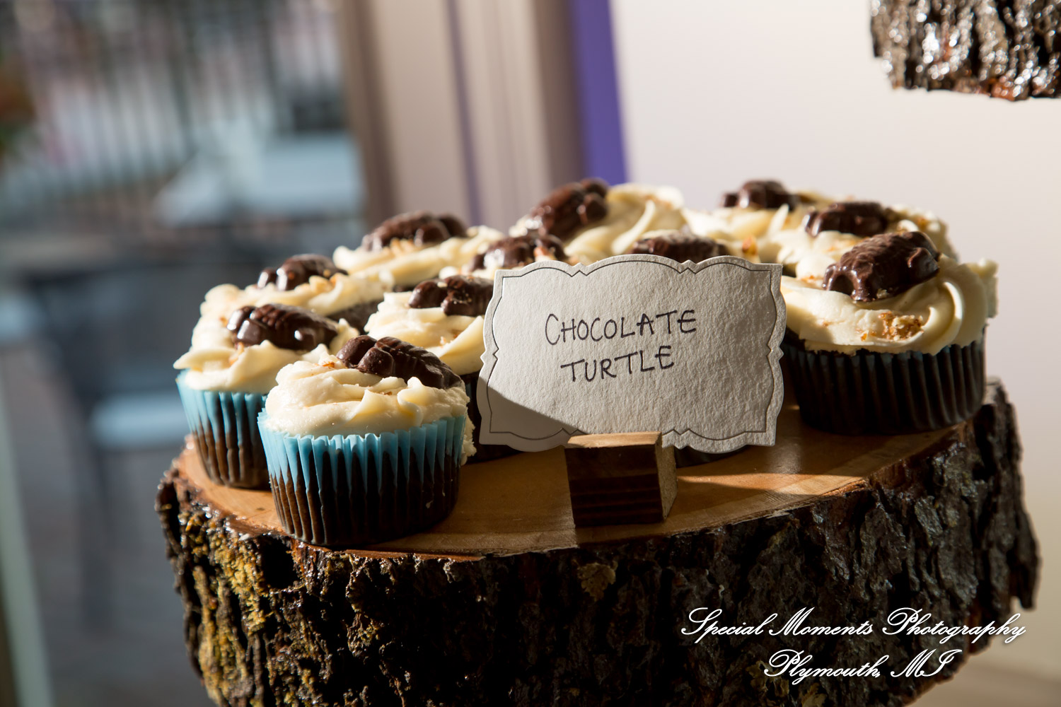 Raechelle & Dalton at Polo Fields Golf & County Club - Ann Arbor MI wedding photograph