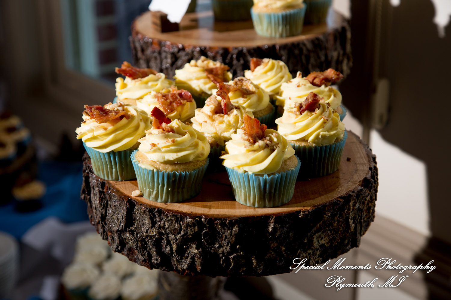 Raechelle & Dalton at Polo Fields Golf & County Club - Ann Arbor MI wedding photograph