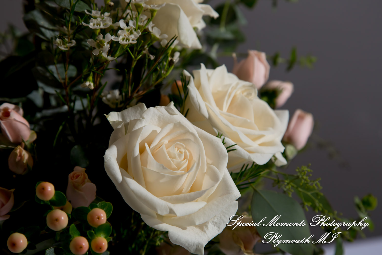 Yolette & Jean-Luc at II Gather More Auburn Hills MI wedding photograph