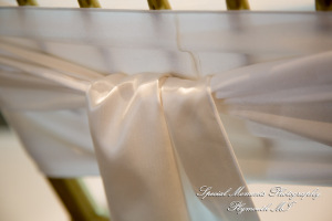 Yolette & Jean-Luc at II Gather More Auburn Hills MI wedding photograph