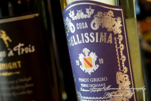 Yolette & Jean-Luc at II Gather More Auburn Hills MI wedding photograph