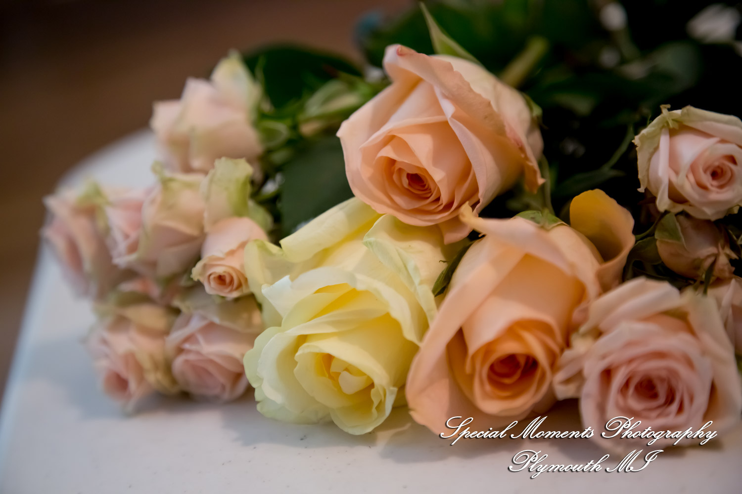 Yolette & Jean-Luc at II Gather More Auburn Hills MI wedding photograph