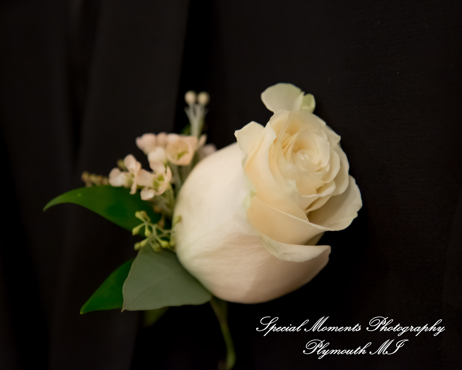 Yolette & Jean-Luc at II Gather More Auburn Hills MI wedding photograph