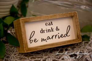 Yolette & Jean-Luc at II Gather More Auburn Hills MI wedding photograph