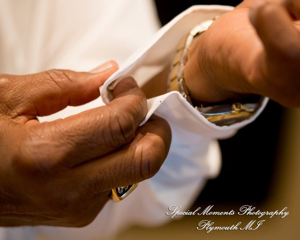 Yolette & Jean-Luc at II Gather More Auburn Hills MI wedding photograph