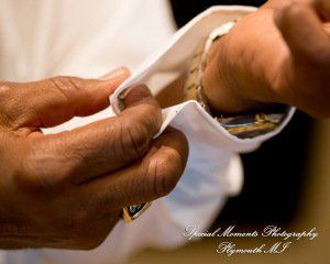 Yolette & Jean-Luc at II Gather More Auburn Hills MI wedding photograph