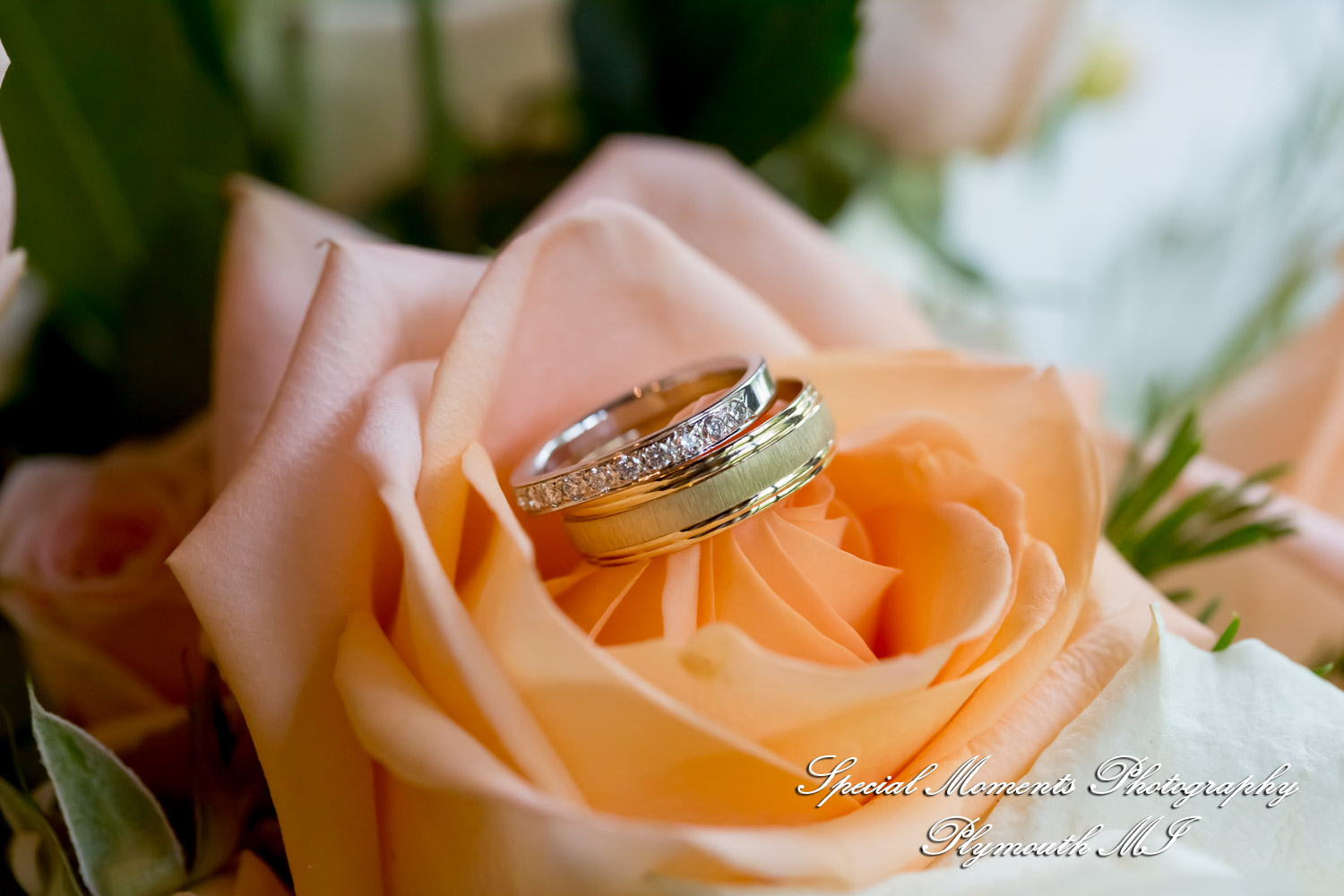 Yolette & Jean-Luc at II Gather More Auburn Hills MI wedding photograph