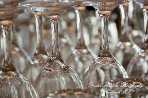 Yolette & Jean-Luc at II Gather More Auburn Hills MI wedding photograph