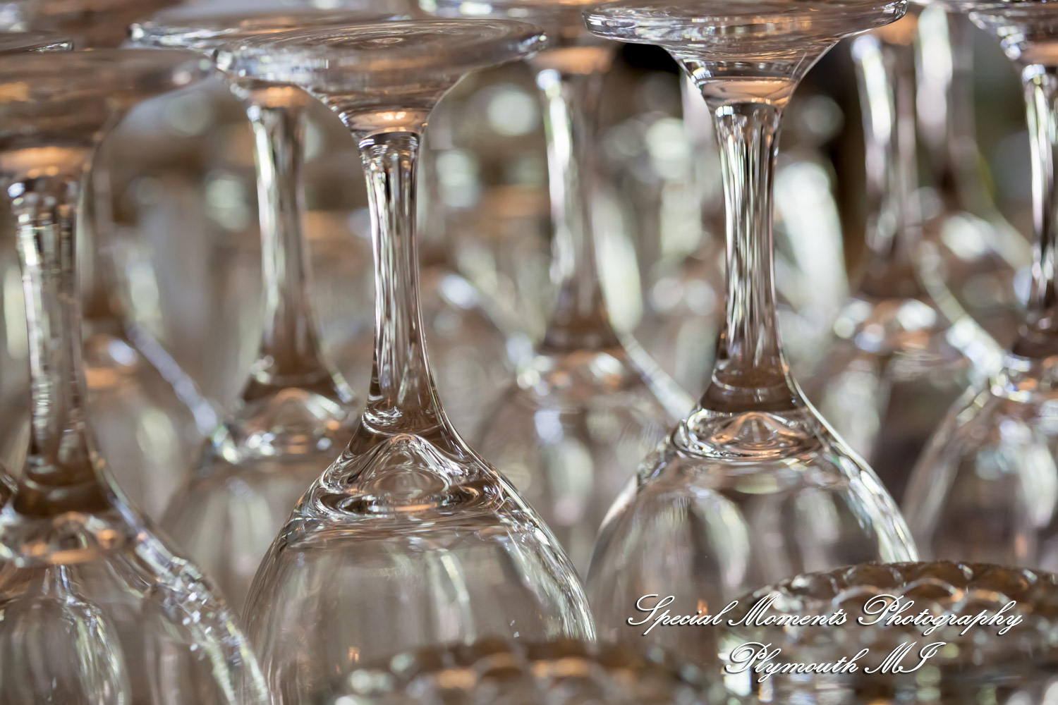 Yolette & Jean-Luc at II Gather More Auburn Hills MI wedding photograph