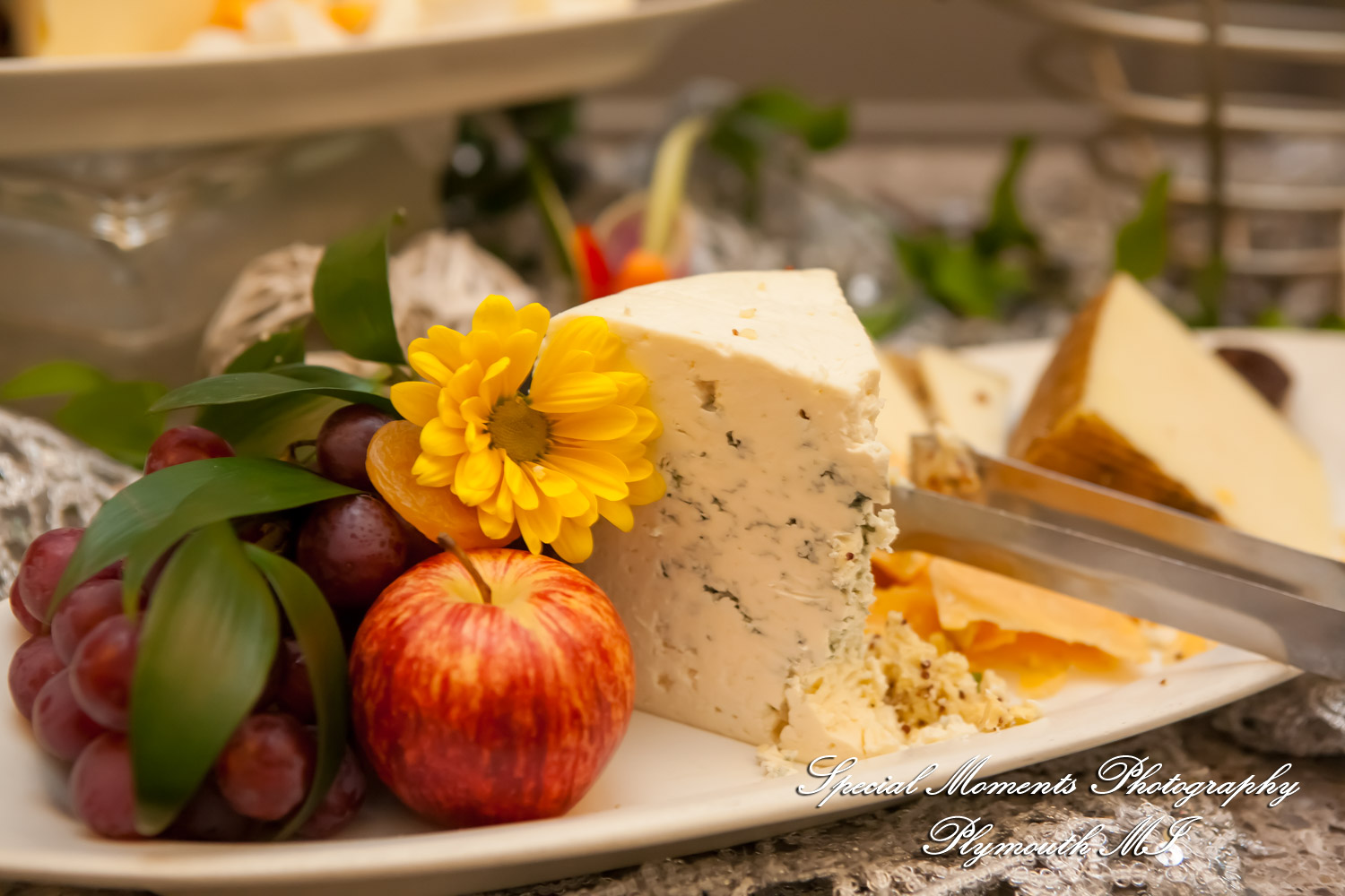 Yolette & Jean-Luc at II Gather More Auburn Hills MI wedding photograph