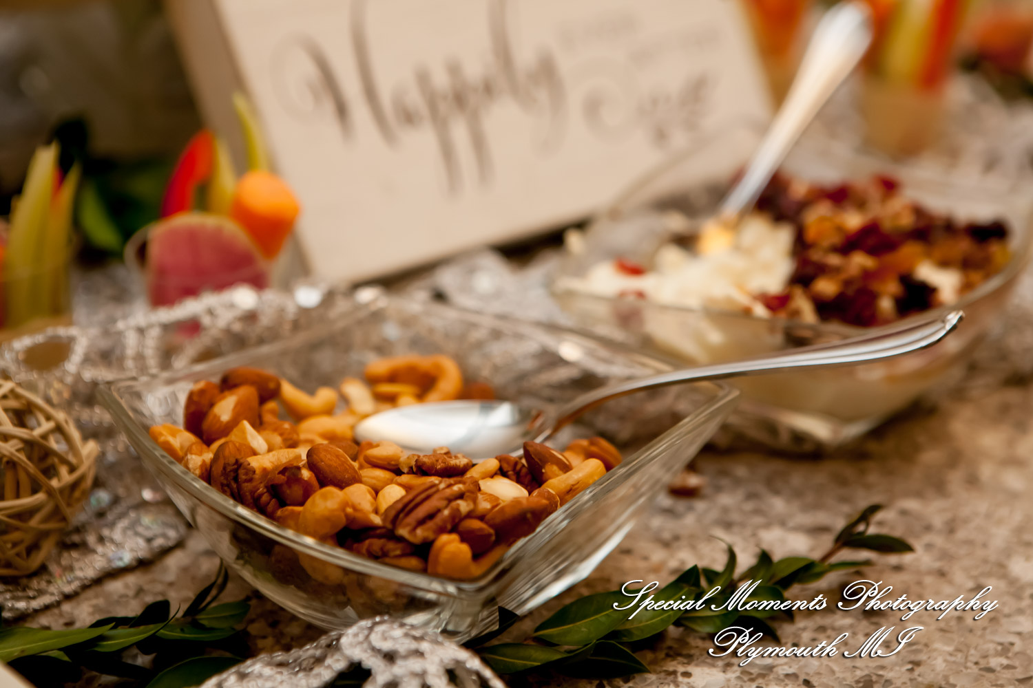 Yolette & Jean-Luc at II Gather More Auburn Hills MI wedding photograph