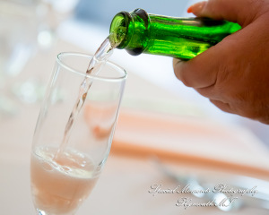 Yolette & Jean-Luc at II Gather More Auburn Hills MI wedding photograph