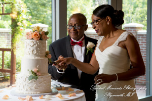 Yolette & Jean-Luc at II Gather More Auburn Hills MI wedding photograph