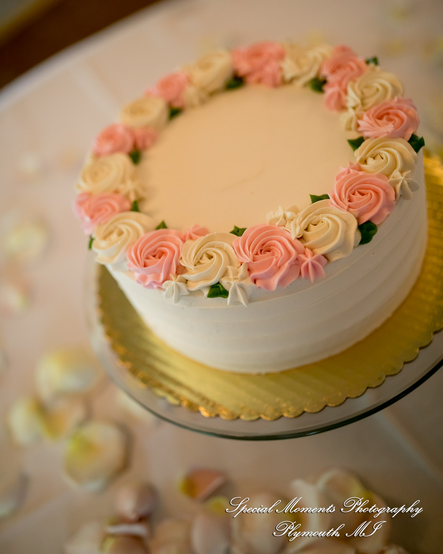 Taniya & Eddie at Ann Arbor City Club Ann Arbor MI wedding photography