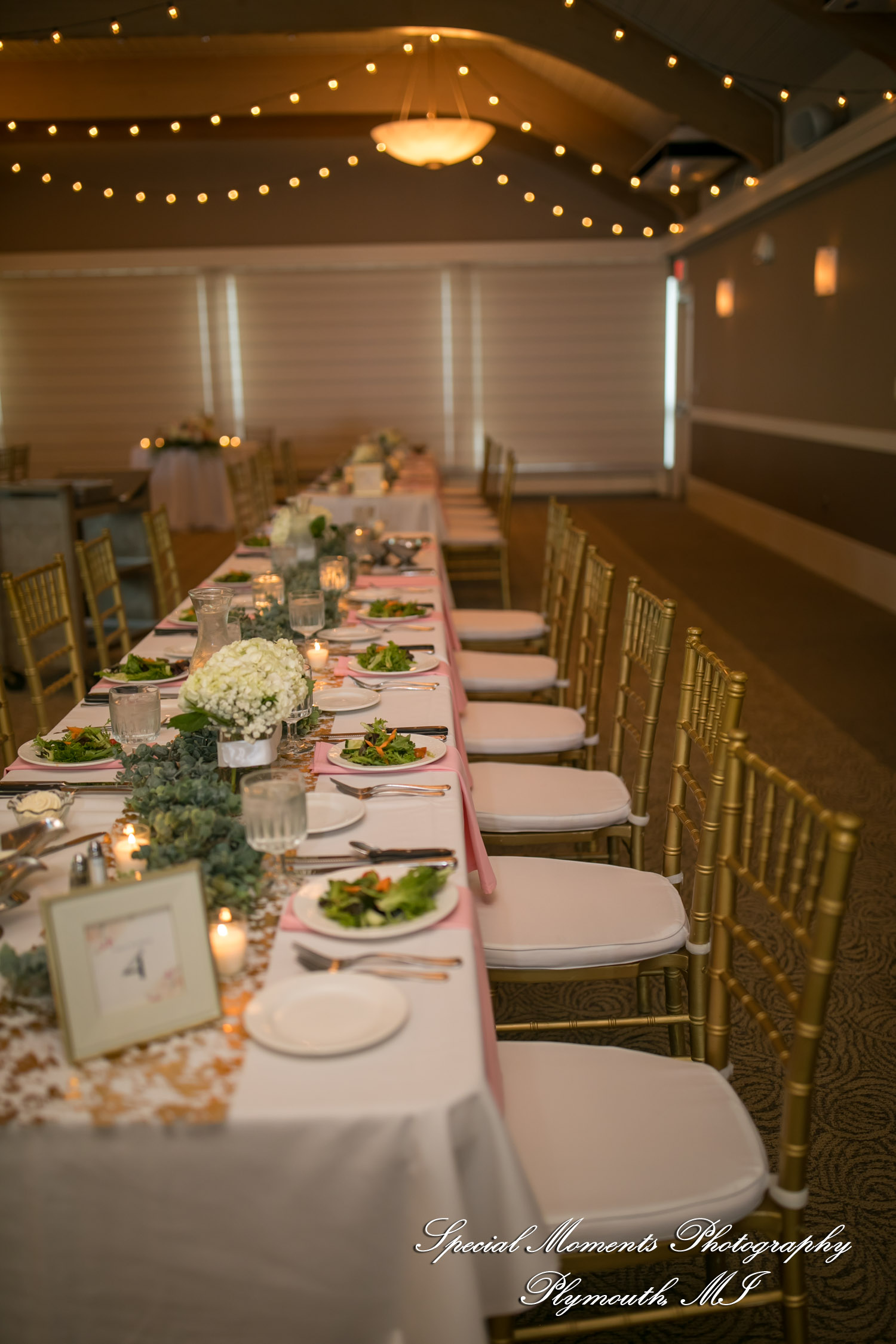 Taniya & Eddie at Ann Arbor City Club Ann Arbor MI wedding photography