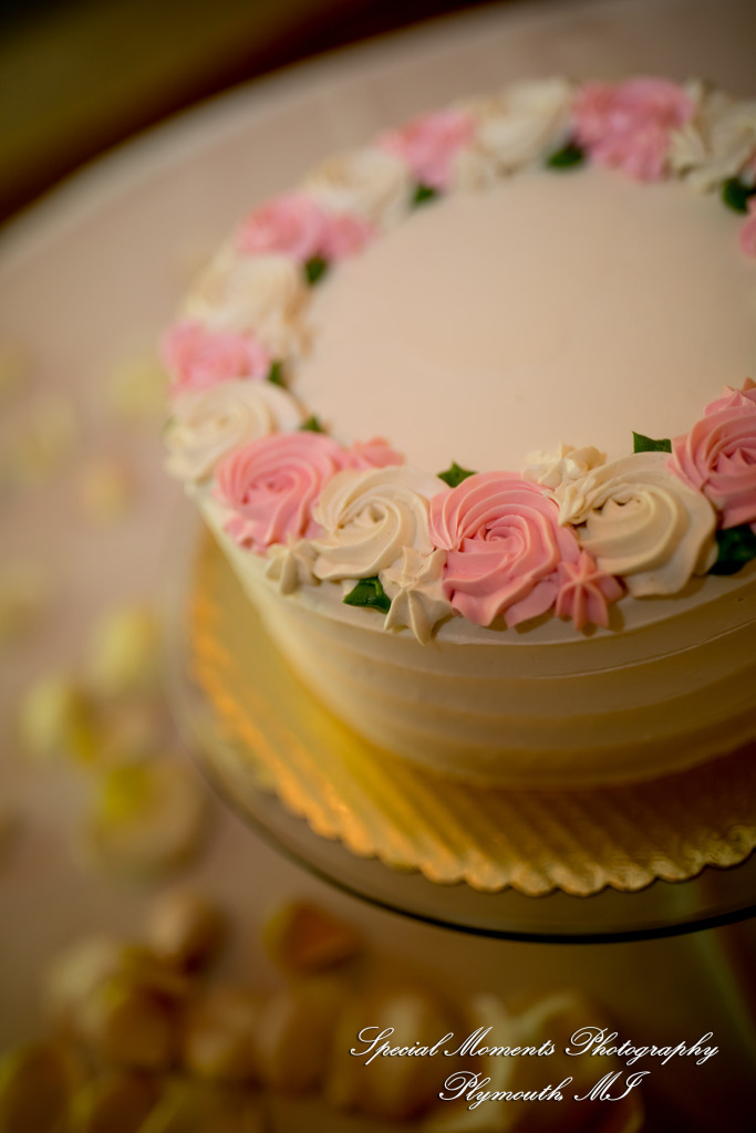 Taniya & Eddie at Ann Arbor City Club Ann Arbor MI wedding photography