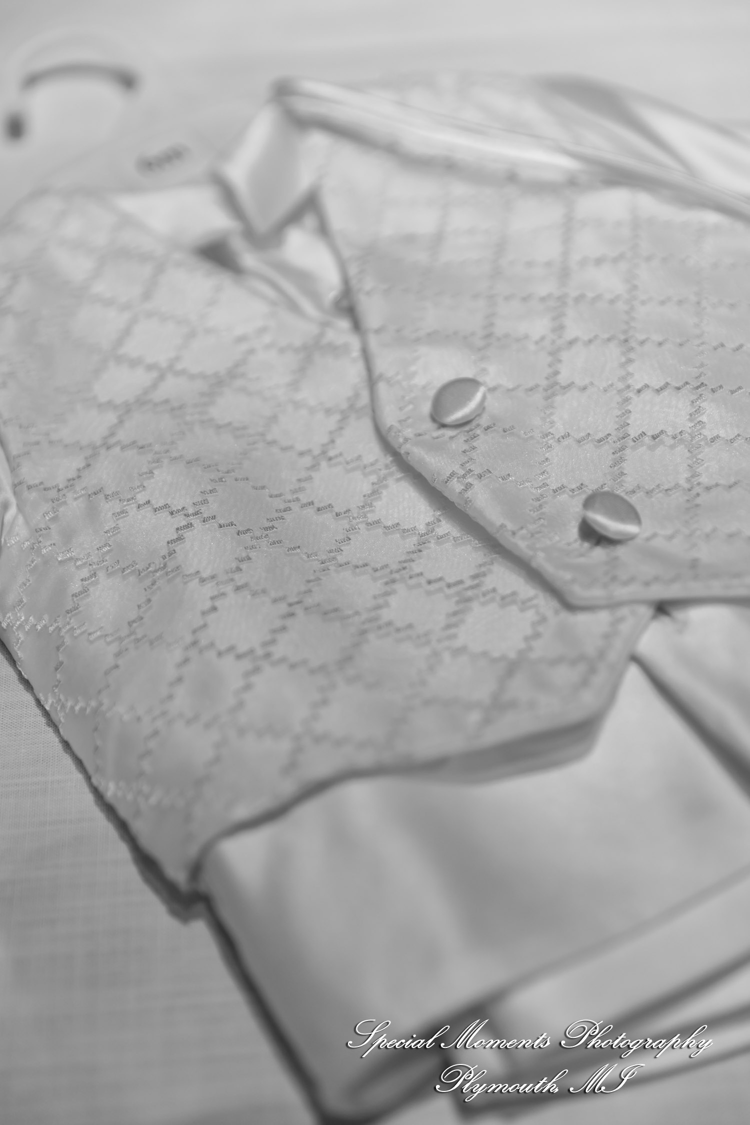 St. James the Greater Novi MI baptism photograph