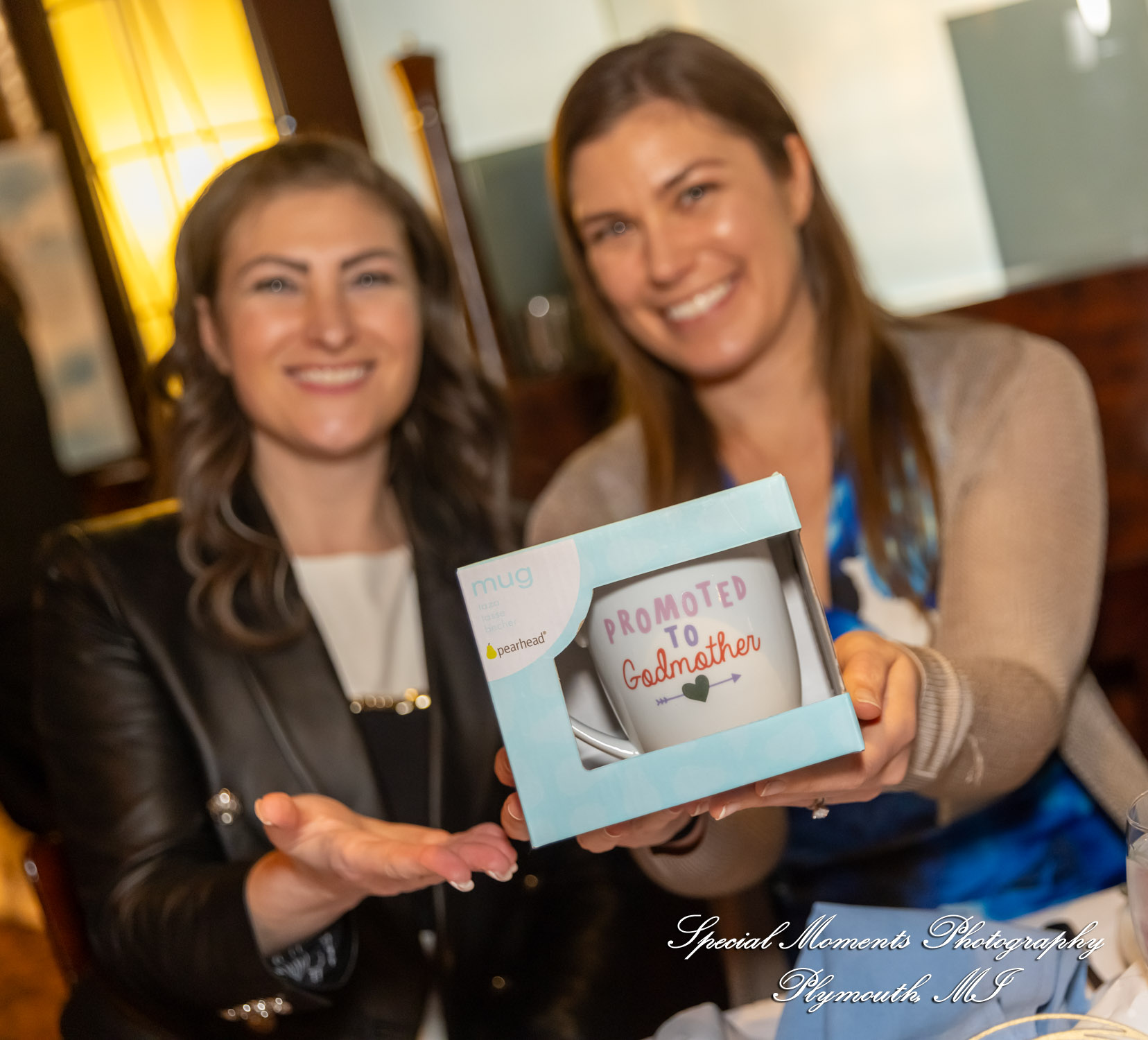 La Bistecca Italian Grille Plymouth MI baptism photograph