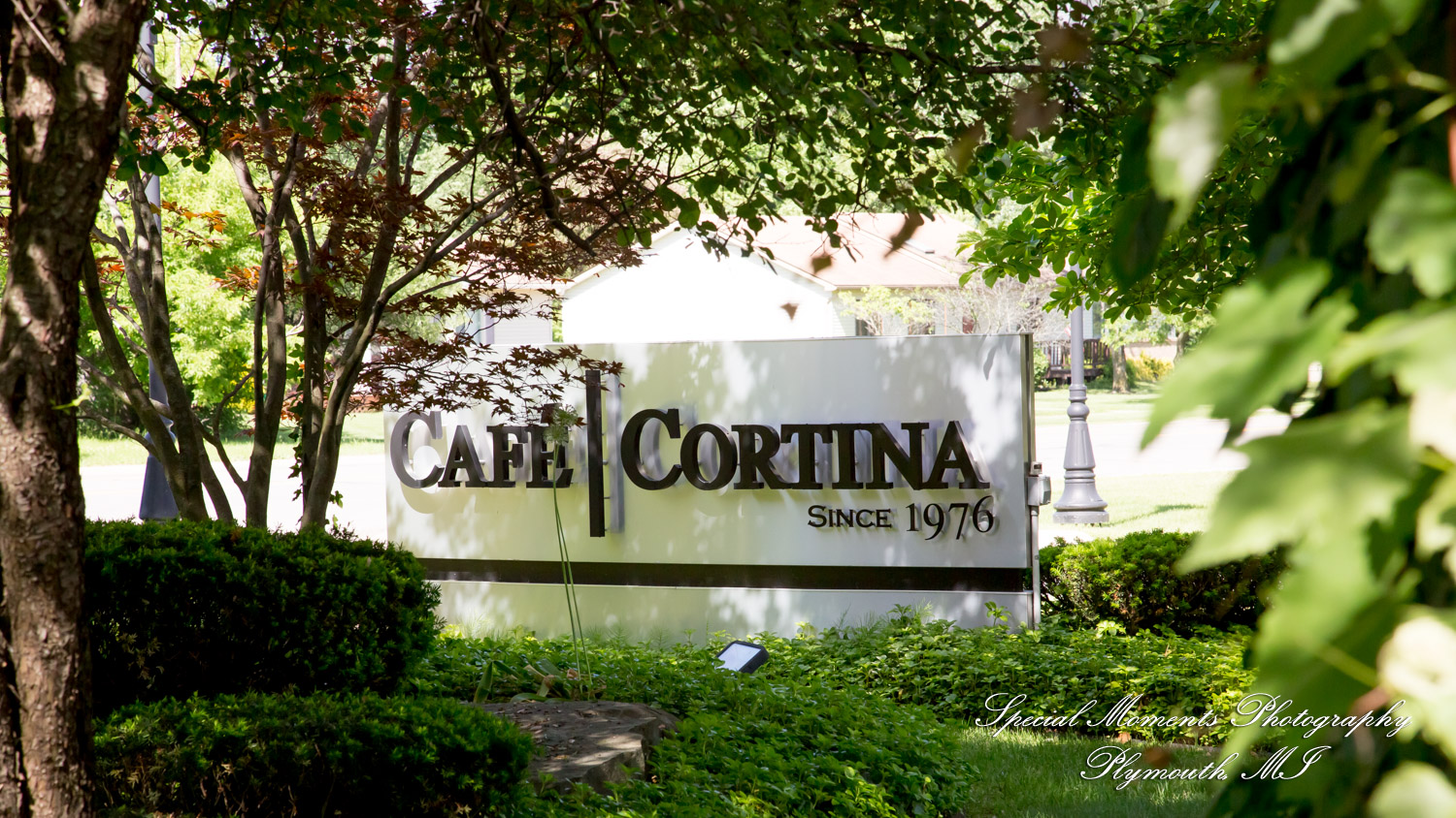 Pina & Ertman at Cafe Cortina Farmington Hills MI wedding photograph