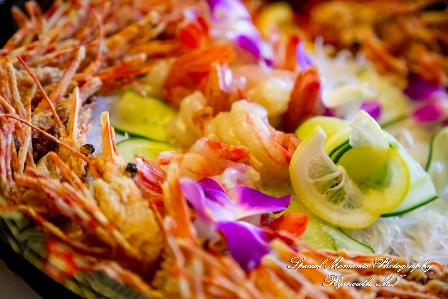 Japan America Society at Charles Lang Freer House WSU Detroit MI corporate photograph