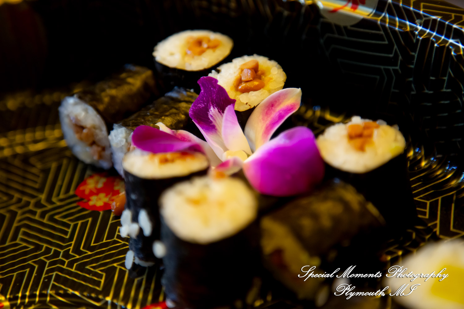 Japan America Society at Charles Lang Freer House WSU Detroit MI corporate photograph