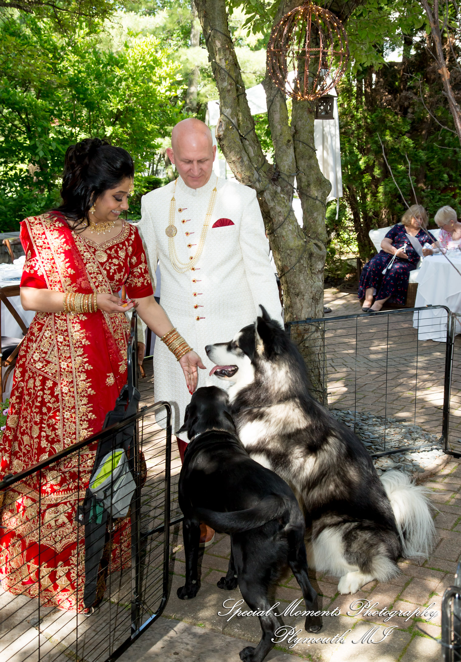 Pina & Ertman at Cafe Cortina Farmington Hills MI wedding photograph