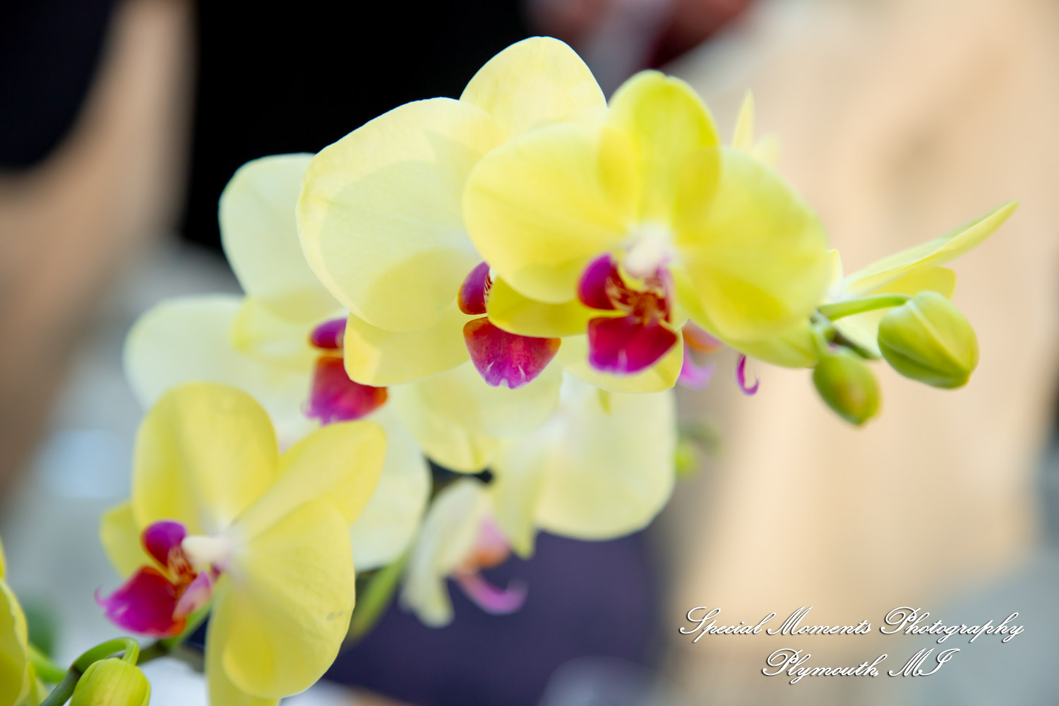 McGregor Memorial Conference Center WSU Detroit MI corporate photograph