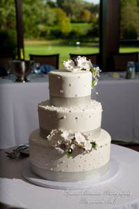 Annette & Mark at Western Golf & Country Club Redford MI wedding photograph