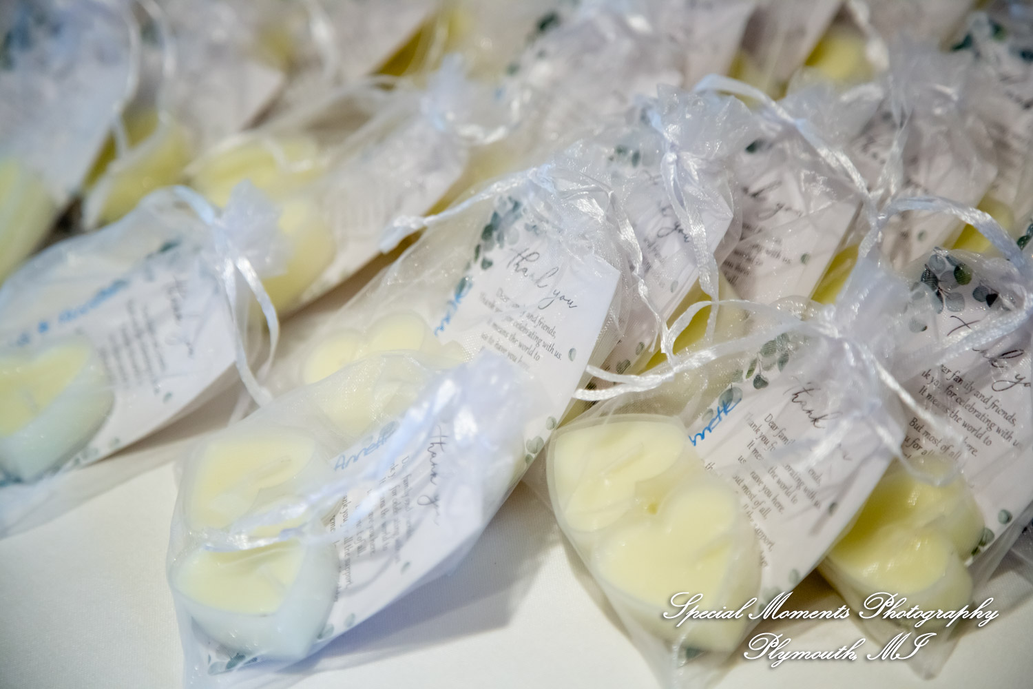 Annette & Mark at Western Golf & Country Club Redford MI wedding photograph