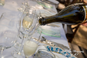 Pina & Ertman at Cafe Cortina Farmington Hills MI wedding photograph