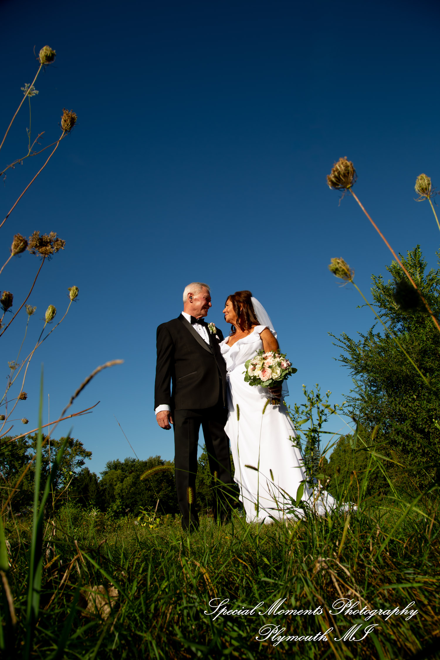 Annette & Mark at Western Golf & Country Club Redford MI wedding photograph