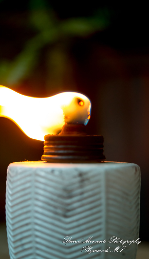 Pina & Ertman at Cafe Cortina Farmington Hills MI wedding photograph