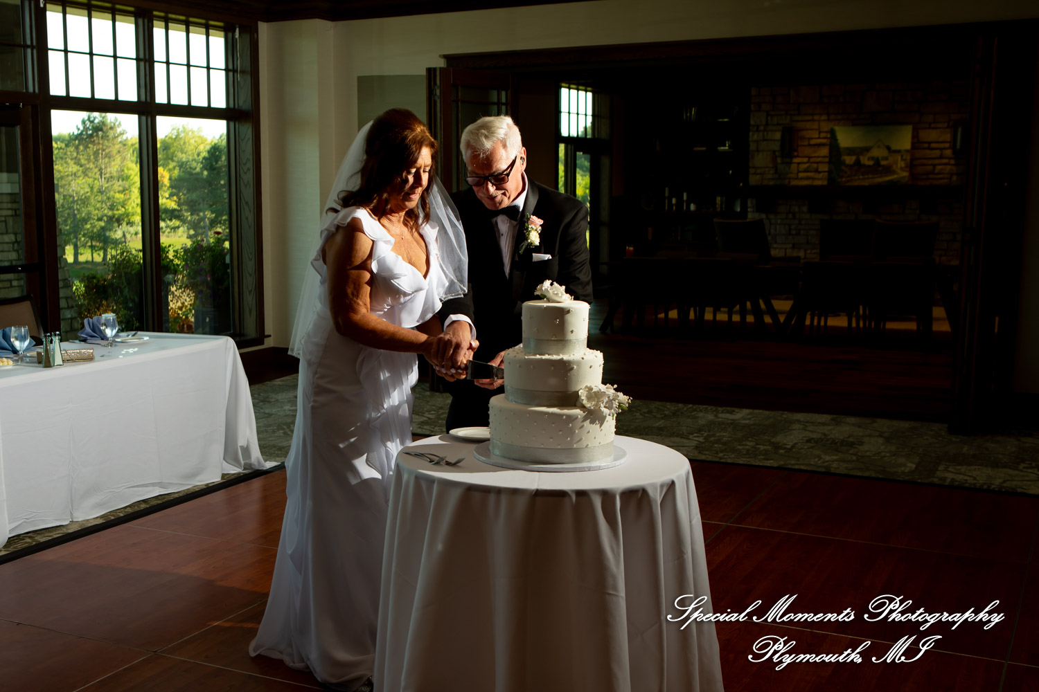 Annette & Mark at Western Golf & Country Club Redford MI wedding photograph