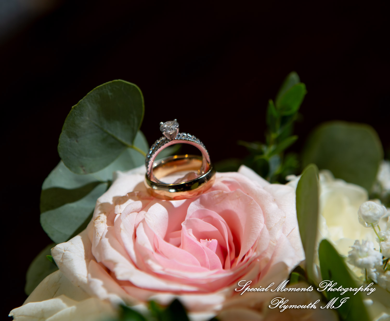 Annette & Mark at Western Golf & Country Club Redford MI wedding photograph