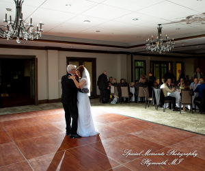 Annette & Mark at Western Golf & Country Club Redford MI wedding photograph
