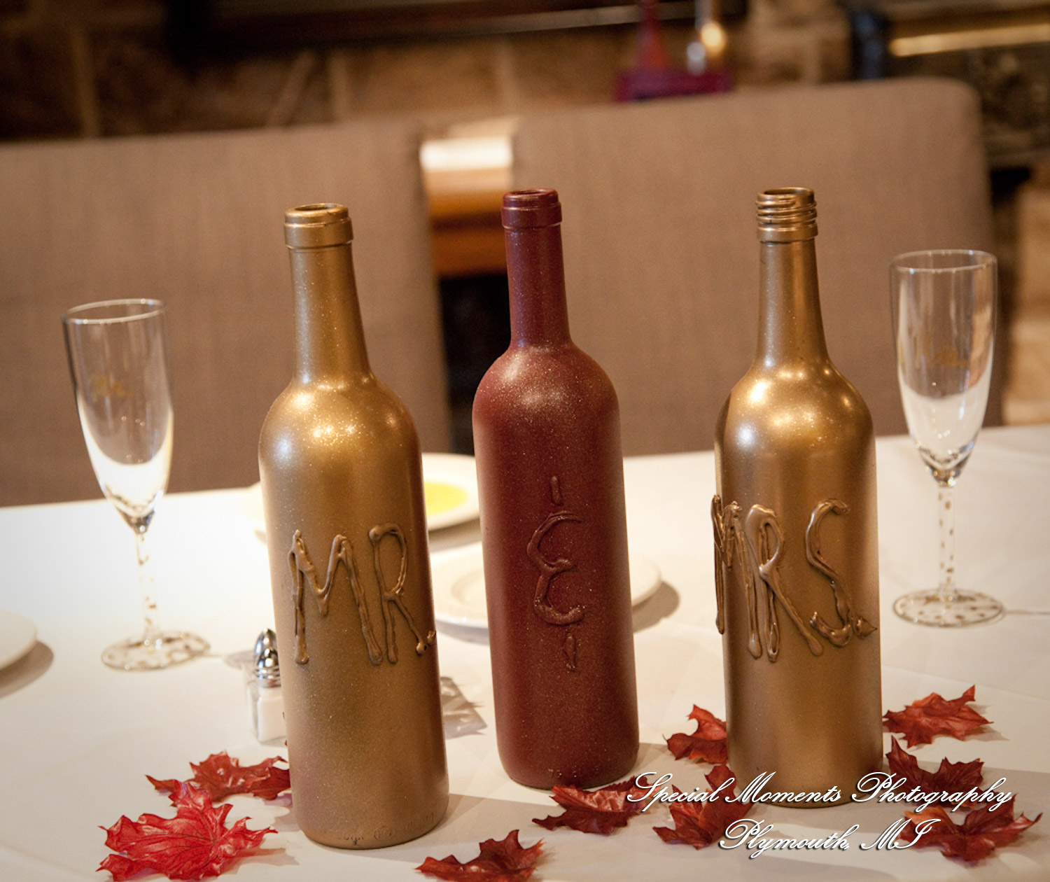 Darbi & Joseph at Wellers East Garden Saline MI wedding photograph