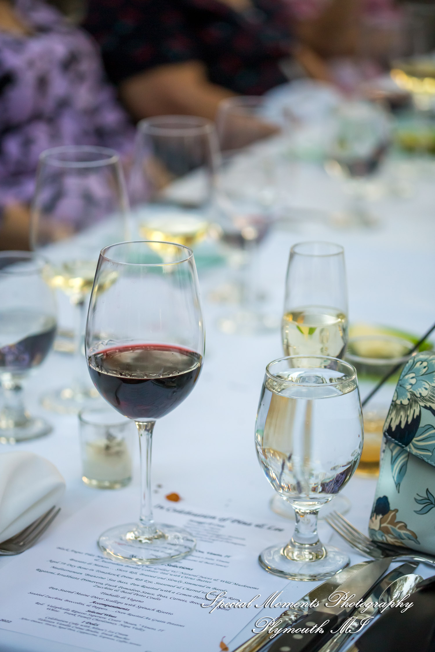 Pina & Ertman at Cafe Cortina Farmington Hills MI wedding photograph