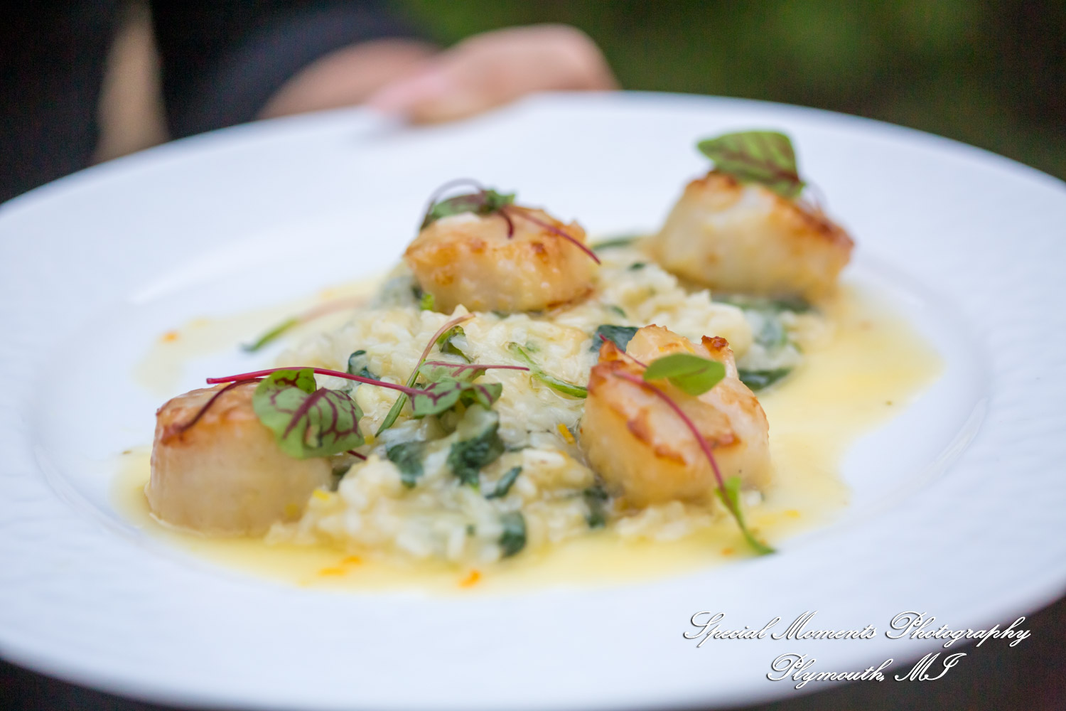 Pina & Ertman at Cafe Cortina Farmington Hills MI wedding photograph