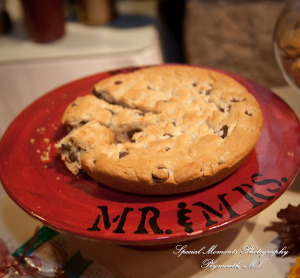 Darbi & Joseph at Wellers East Garden Saline MI wedding photograph