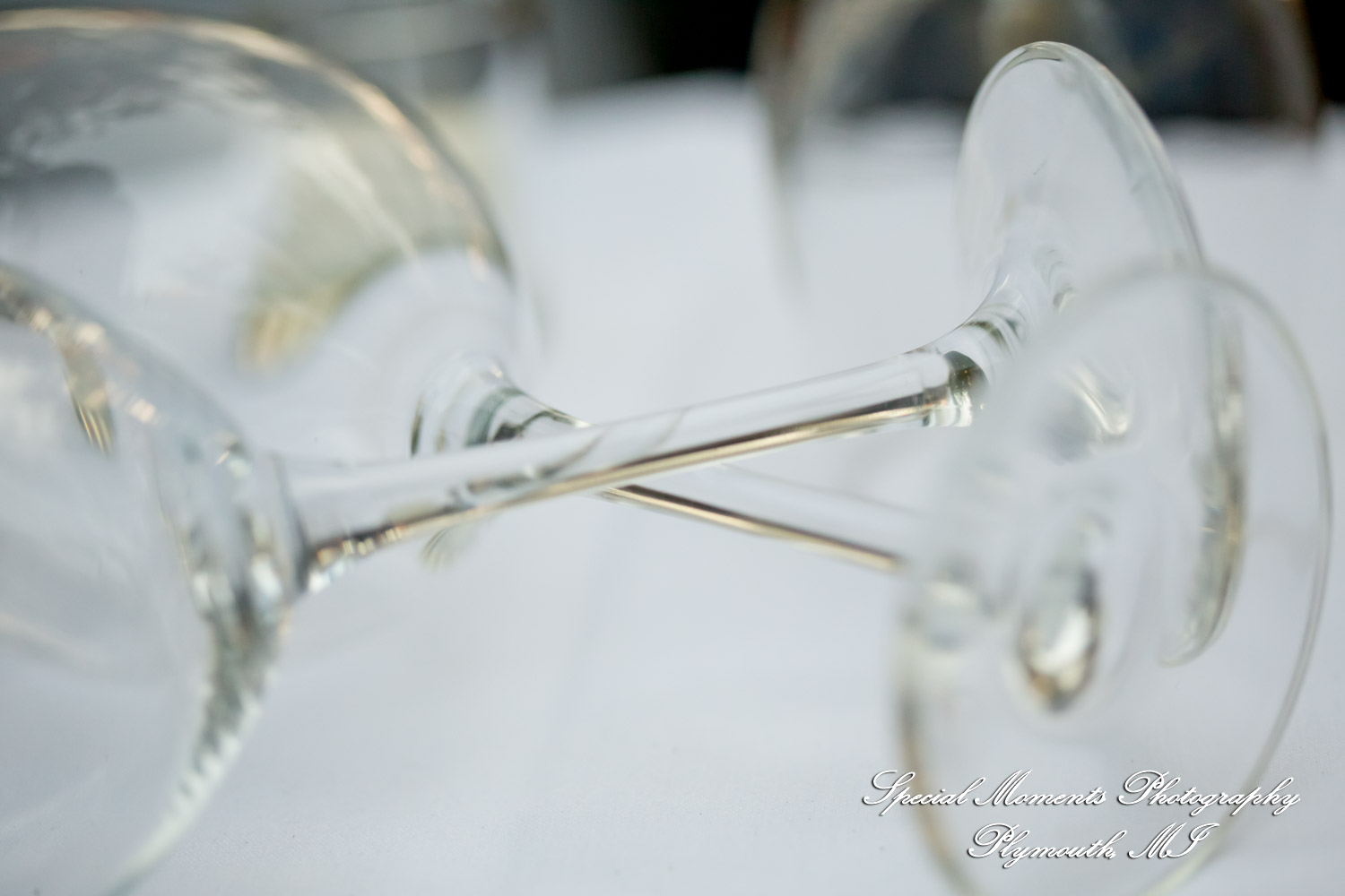 Pina & Ertman at Cafe Cortina Farmington Hills MI wedding photograph