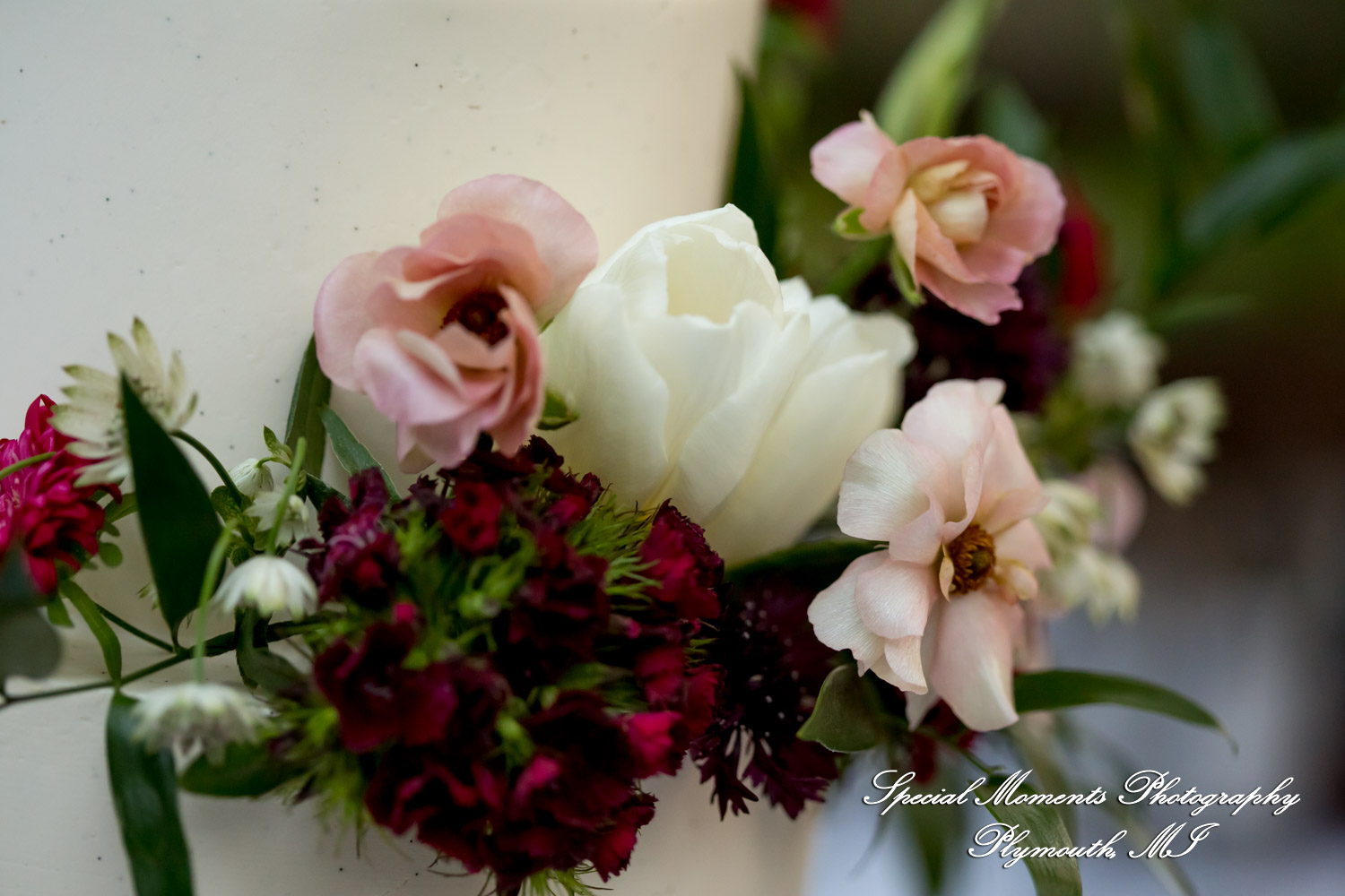 Pina & Ertman at Cafe Cortina Farmington Hills MI wedding photograph