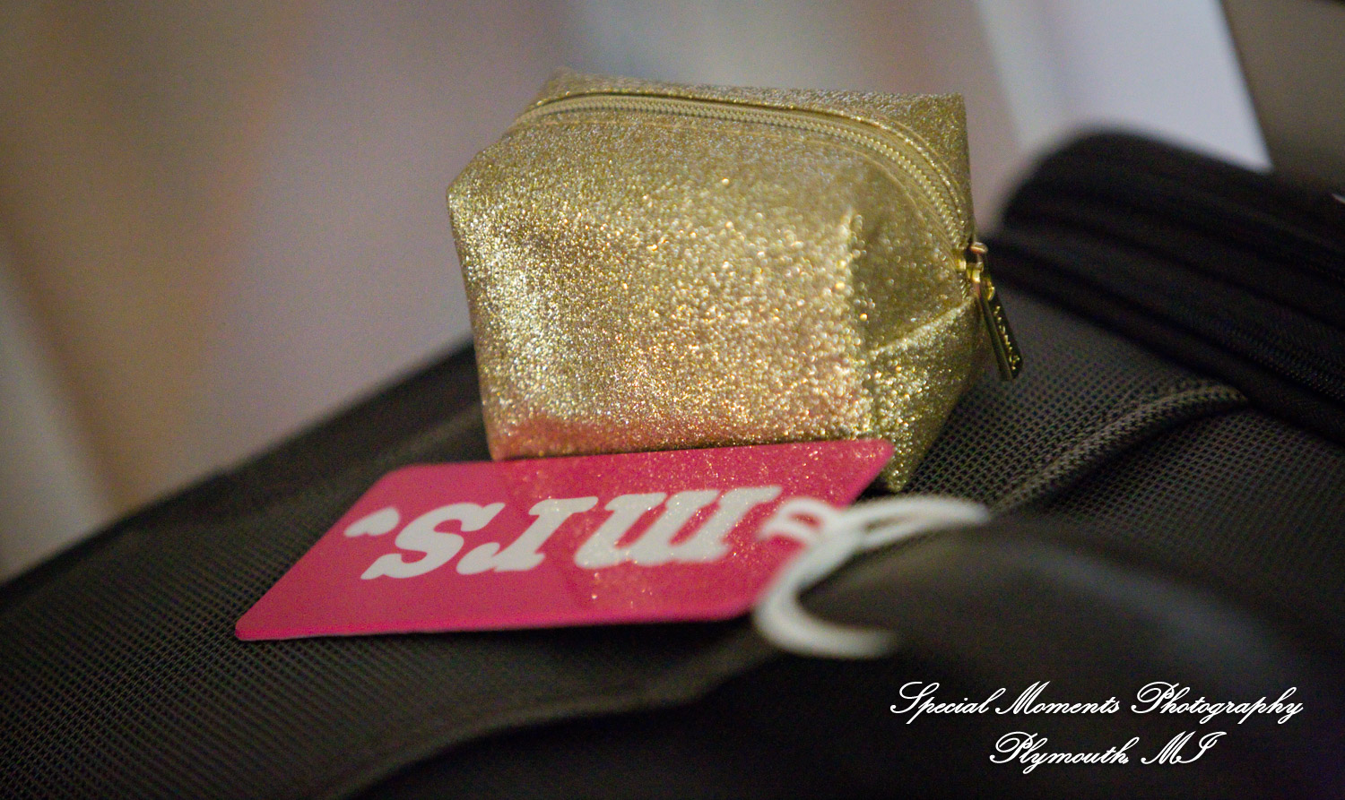 Kristin & Matthew at Embassy Suites by Hilton Livonia MI wedding photograph